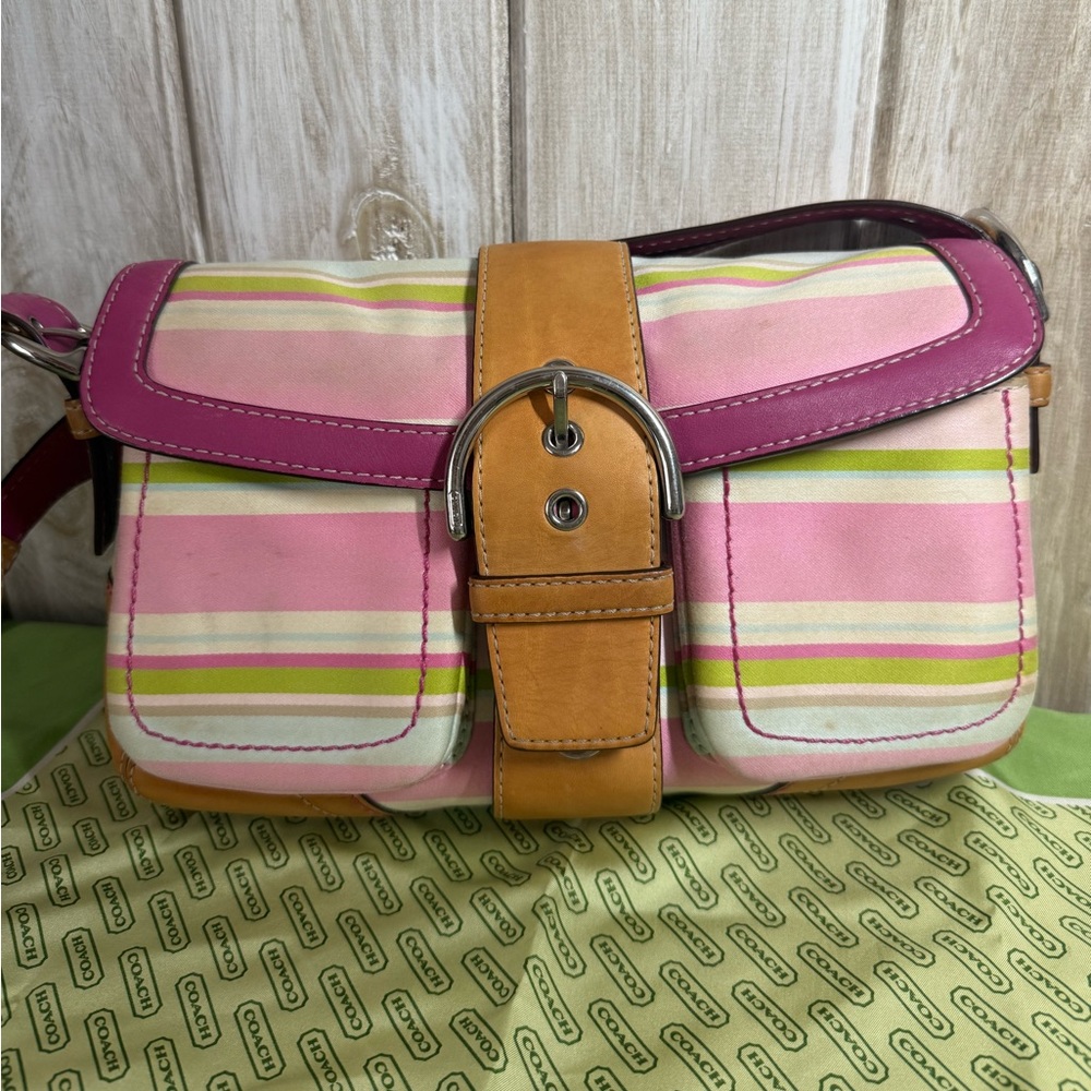 Coach Hampton Stripe Hobo